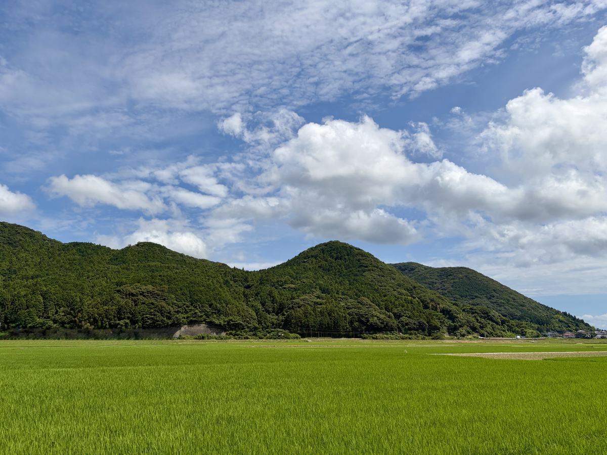 田んぼと、その背後に広がる山林